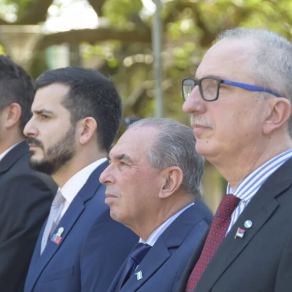 Sin concejos delirantes